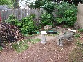 The frog (left) and goldfish (right) ponds. I have four tadpoles which will be frongs in a month or so, and six goldfish. They're a riot.