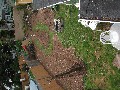 Aerial view of (most of) back yard. Already in the ground (mulch) are onions, cherry tomatoes, cucumbers and...