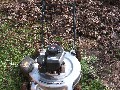 This is the beast that triple cut the leaves; purchased for $30 off Craigslist. Well, actually, I had to push it around a lot. Hard work... builds character.